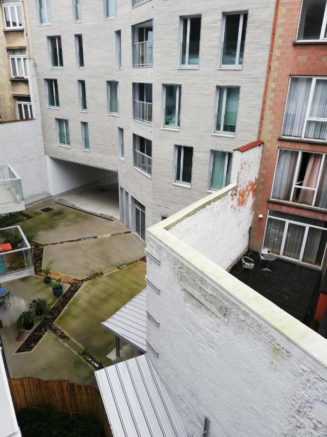 Tagusnunus Bruselas